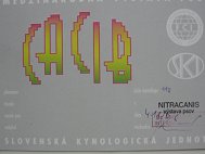 NitraCACIB-4-11-06kl.jpg (5844 Byte)